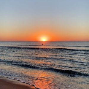 Meet your Posher, Kylie